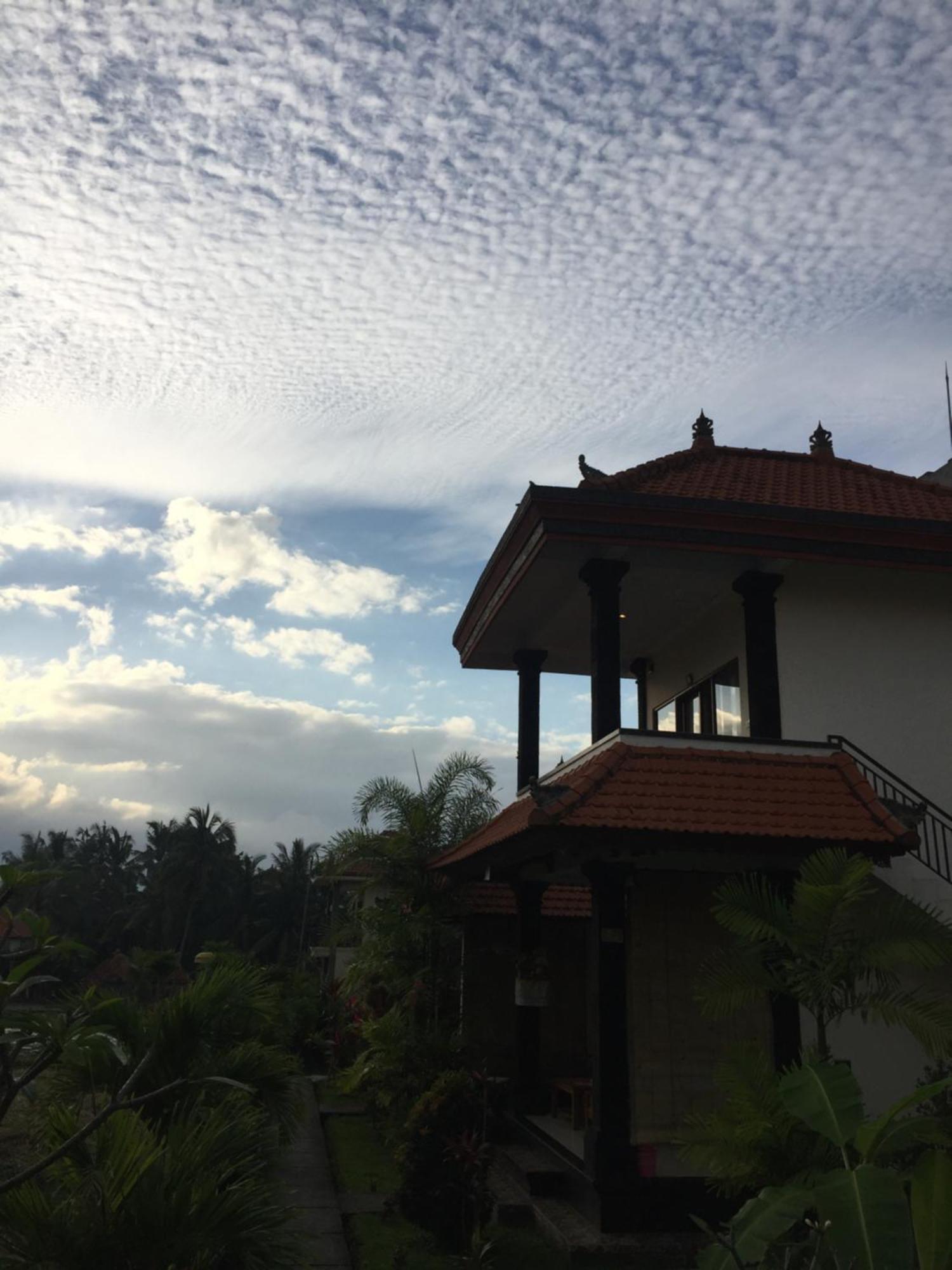 Sari Bungalow Ubud  Exterior photo