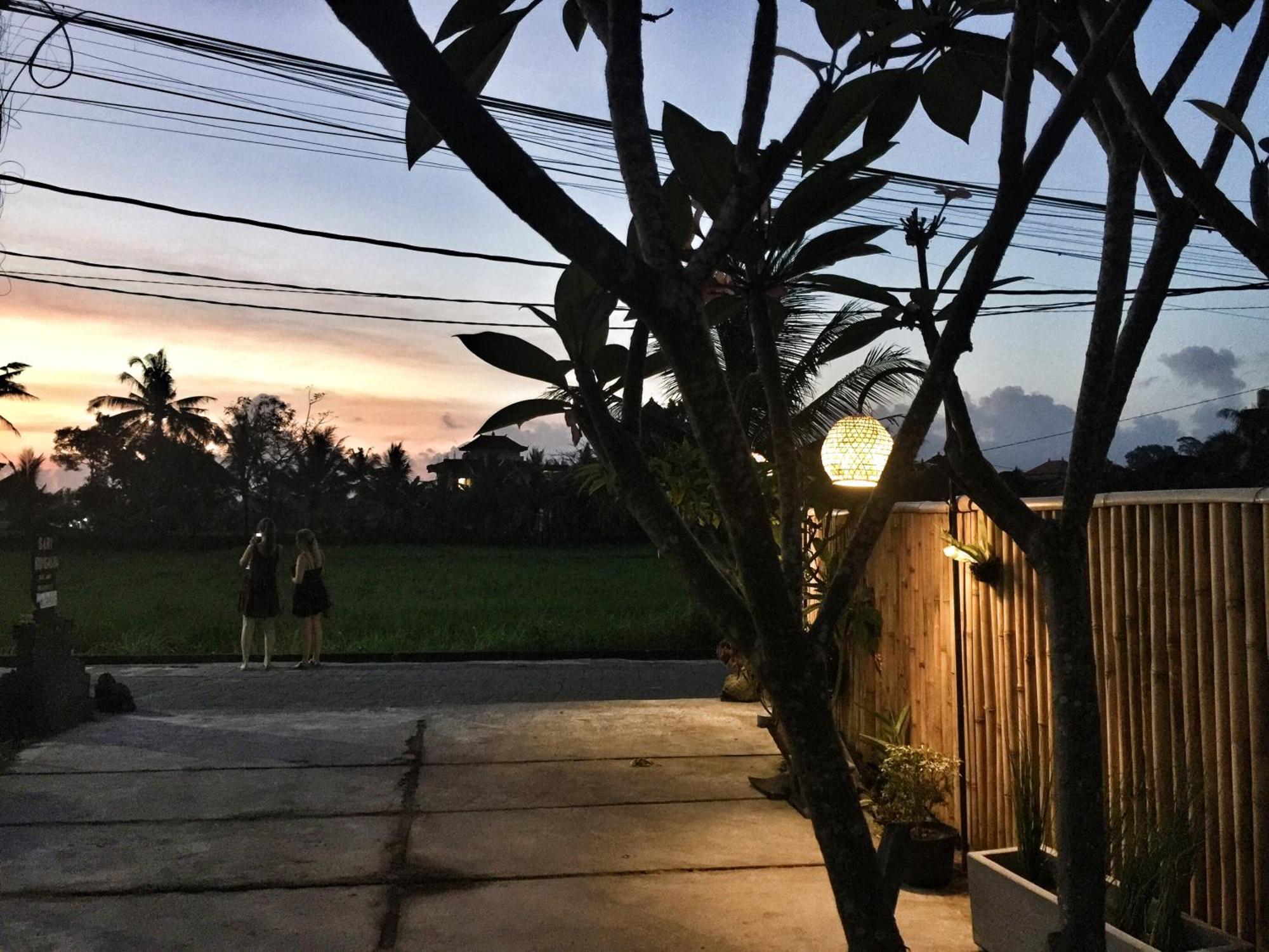 Sari Bungalow Ubud  Exterior photo